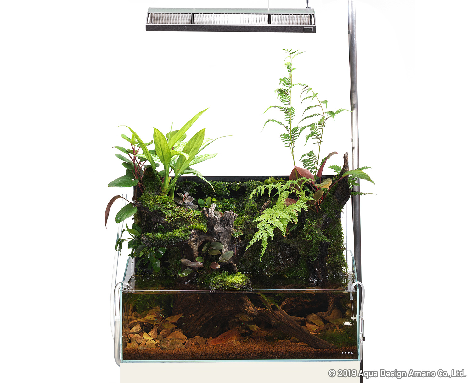 Brand new wall system for 60cm aquarium tank | en
