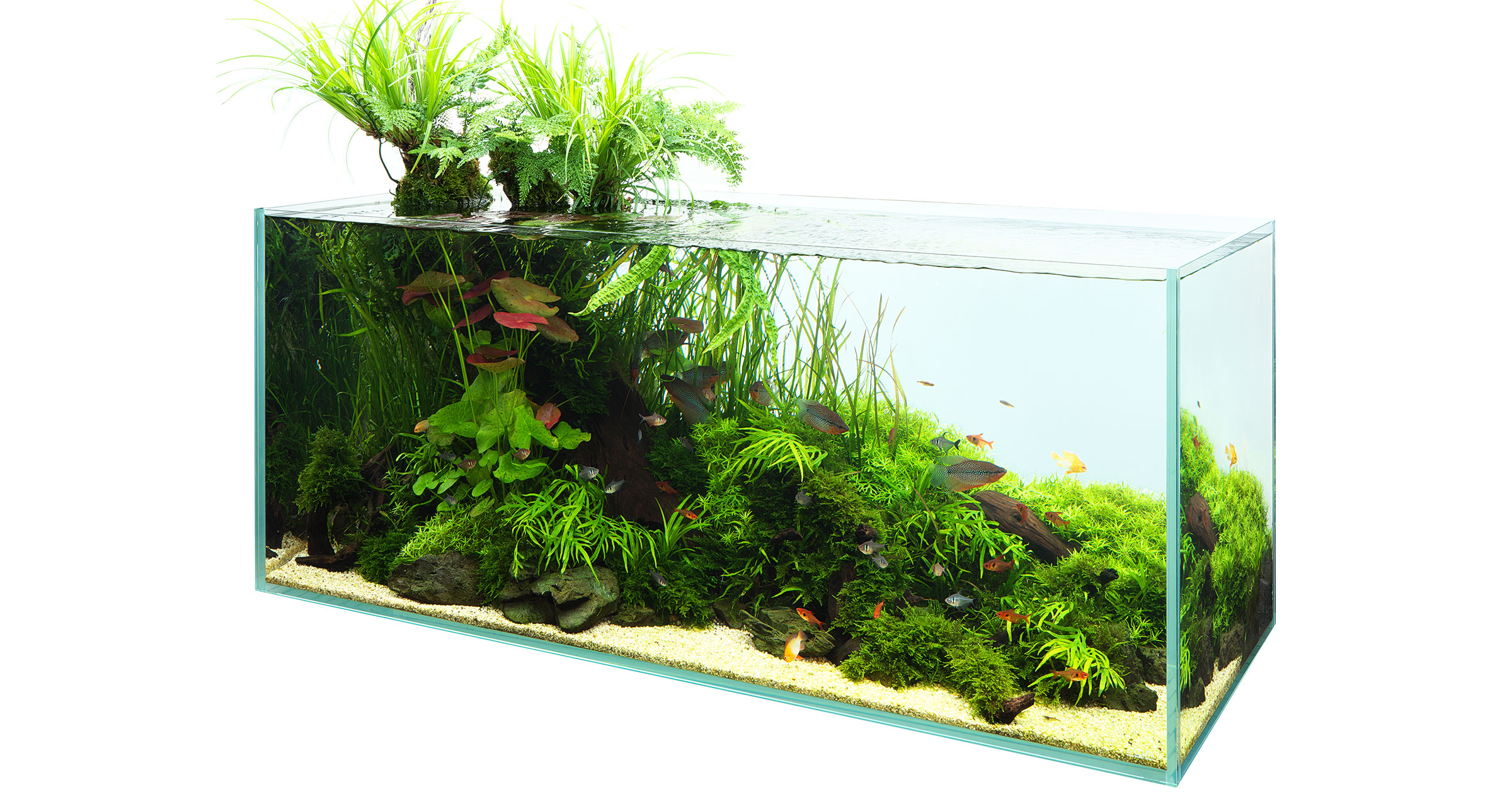 NATURE IN THE GLASS 'ADA Trend 2020' | en