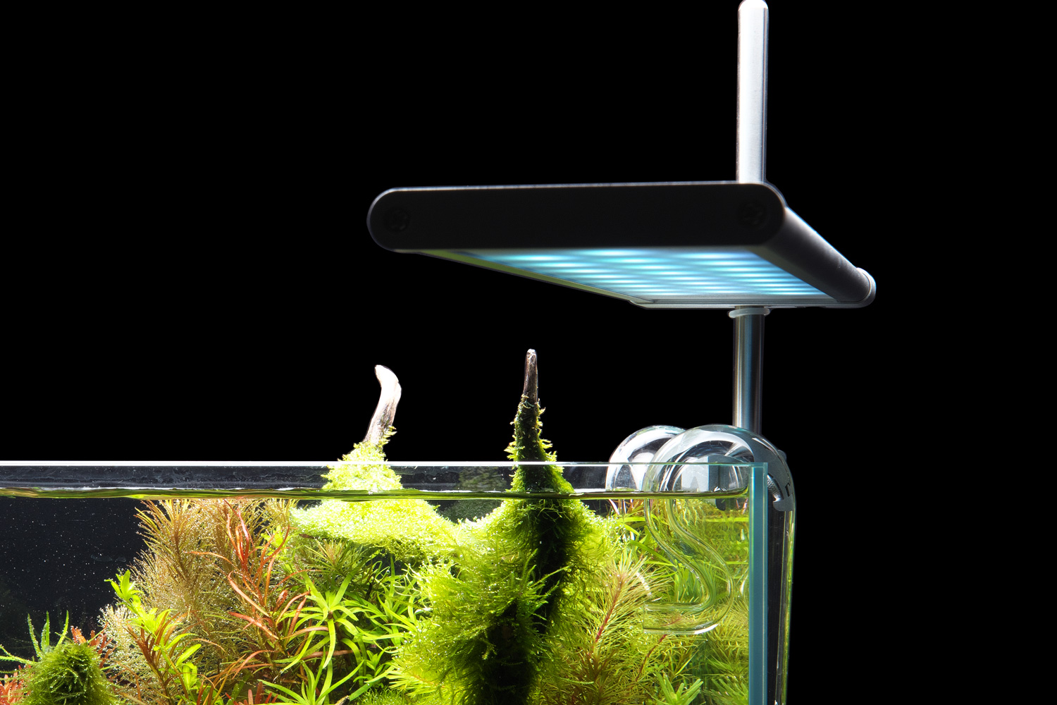 ADA ミニNA ADA Mini NA Set 150 (with Cube Garden W150xD150xH220mm