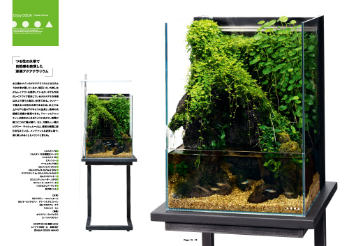 月刊アクアジャーナルVol.275 発売のお知らせ | ADA - NEWS RELEASE