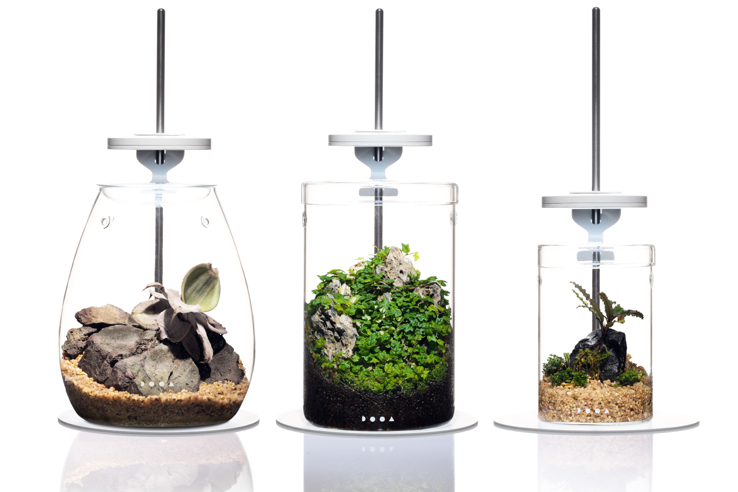 ADA 雲山石 2個セットADA 雲山石 特寸サイズ 2個セット ADA