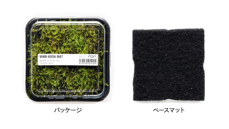 佗び草マット6種類のラインナップを公開しました。 | ADA - NEWS RELEASE