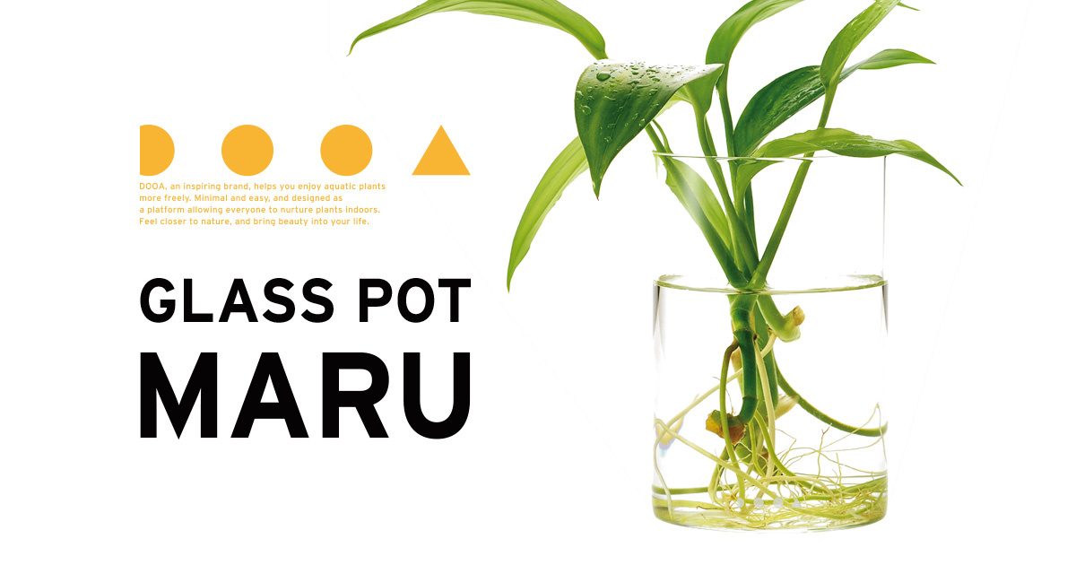 ガラスポット MARU リニューアル発売のお知らせ | ADA - NEWS RELEASE