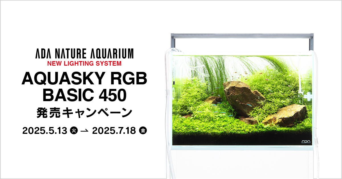 未開封】ADA ブックマーカー レースプラント アクアデザインアマノ