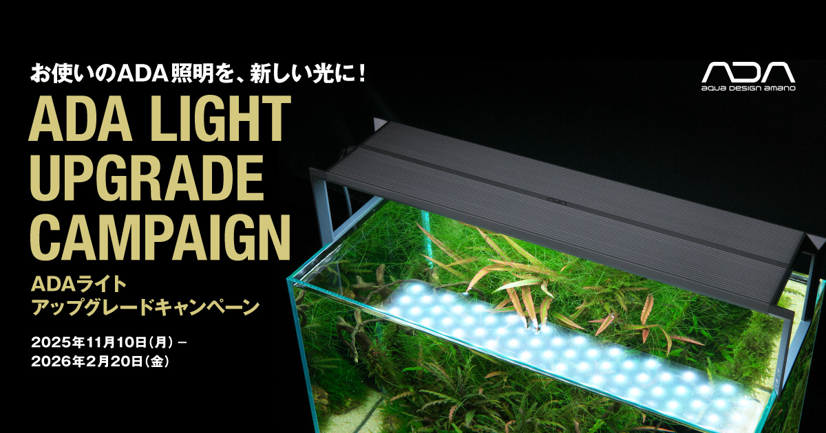 ADAライト アップグレードキャンペーン 開始のお知らせ | ADA - NEWS
