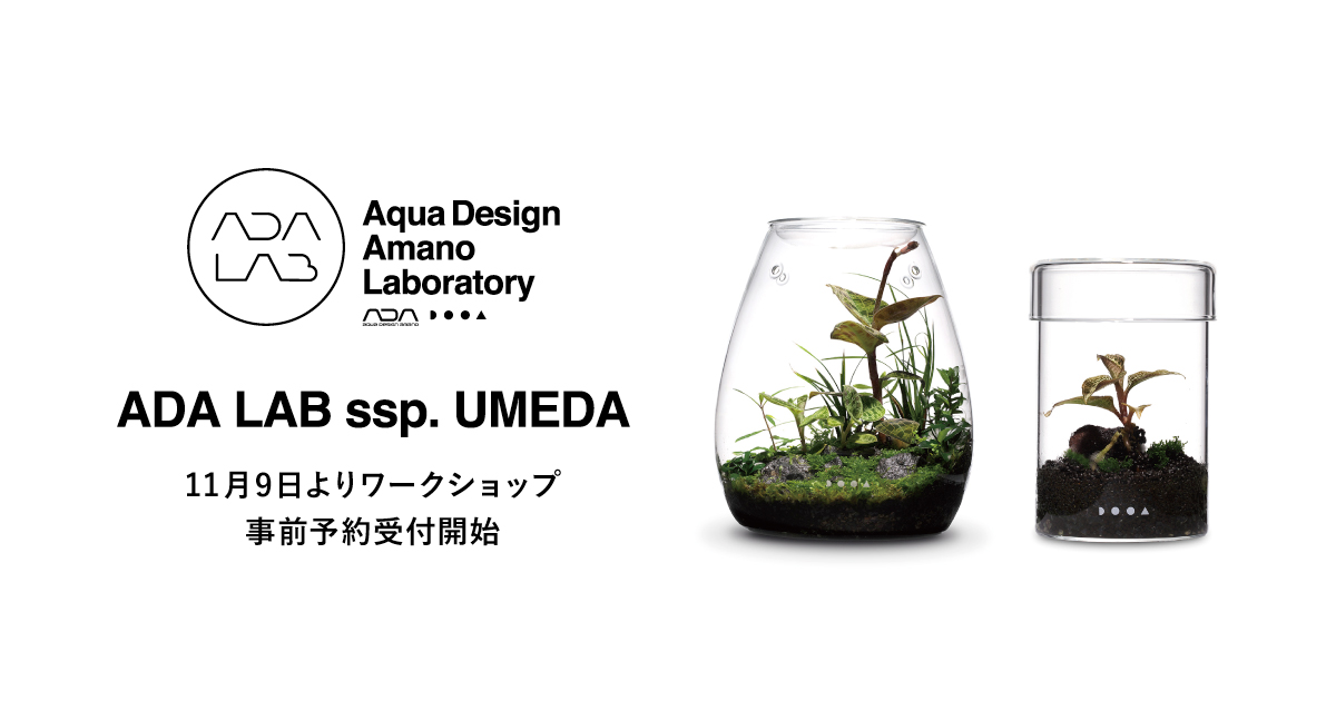 ADA LAB ssp. UMEDA ミニパルダリウム ワークショップ開催のお知らせ