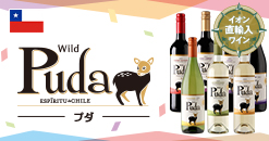 2017 ドメーヌ・フーリエ ジュヴレイシャンベルタン・レ・シェルボード