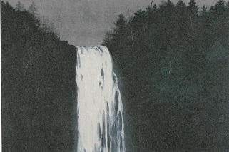 千住博「滝 崖の木」(リトグラフ) - 画廊アガティ