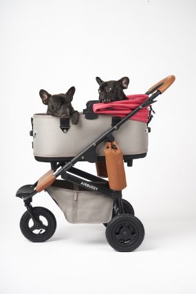 AIRBUGGY PET 2024新色発売＞初夏、ペットカートのお出かけシーズン