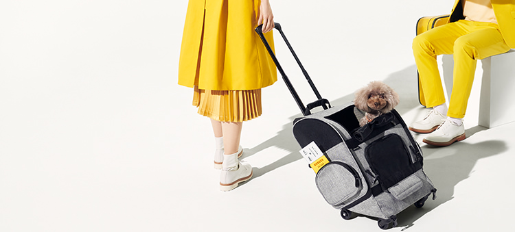 Fitt - AIRBUGGY FOR PET | ペットカートのエアバギー