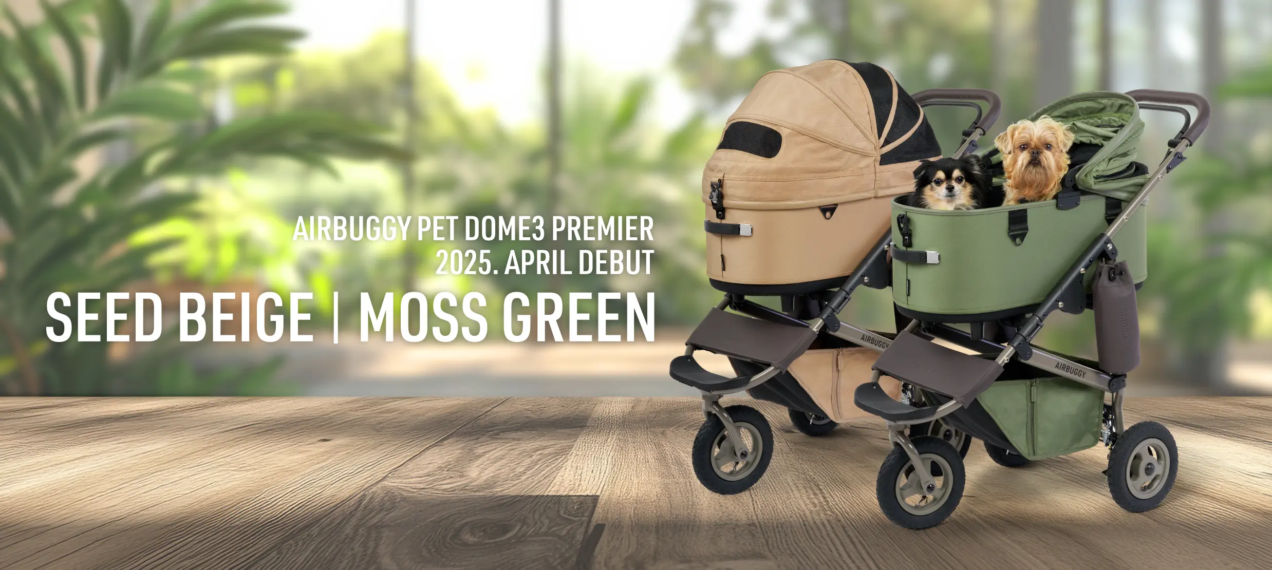 LIMITED EDITION』DOME3 PREMIER REGULAR シードベージュ ＆ モス