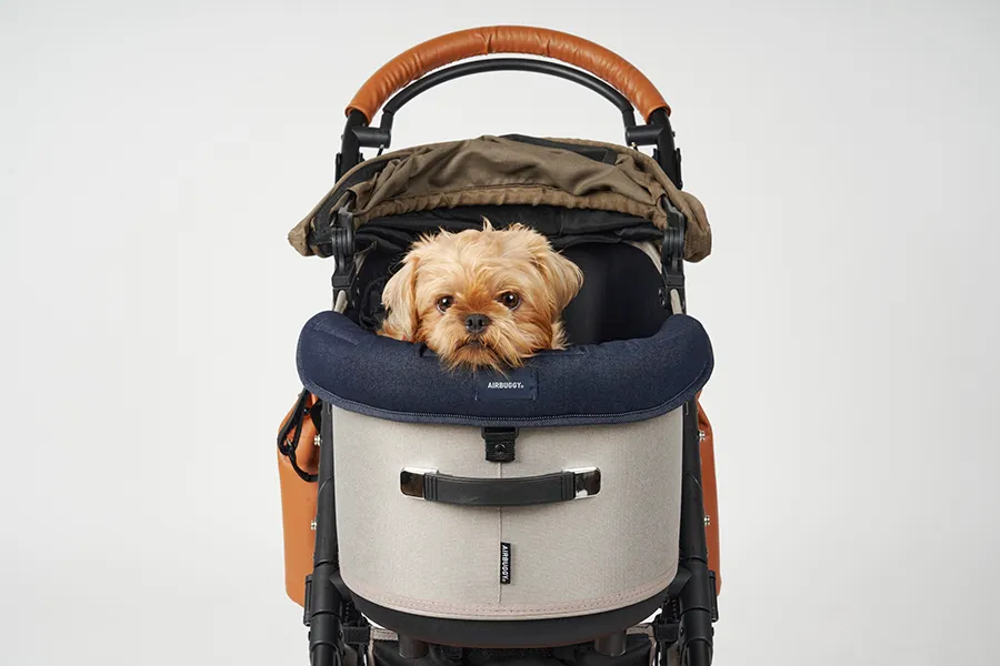 AIRBUGGY DOME3 ラージサイズ イエロー/グレー DOME3LARGE - AIRBUGGY