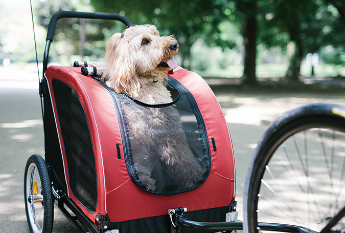 NEST BIKE | AIRBUGGY FOR PET