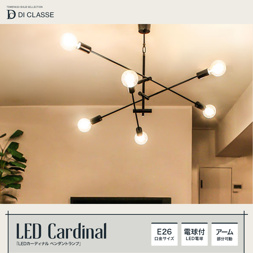 DI CLASSE Barocco「LED Cardinal pendant lamp LEDカーディナル