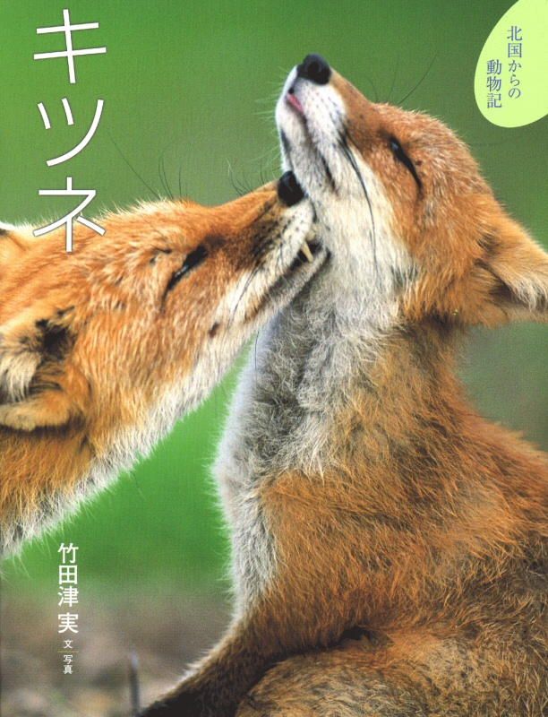 キツネ ｜ アリス館