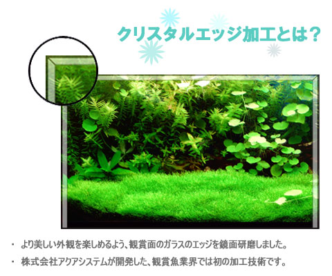 株式会社アクアシステム ホームページ ｜ 水槽製品 グラディ