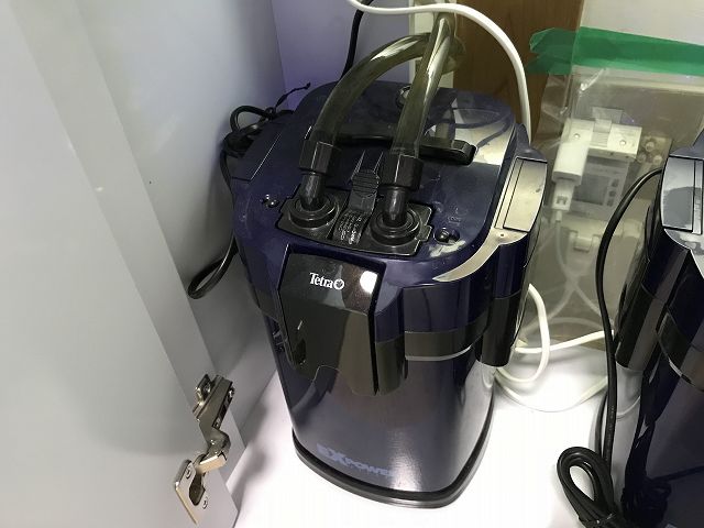 テトラの外部式フィルター「VX-75」レビュー。競合製品との比較など