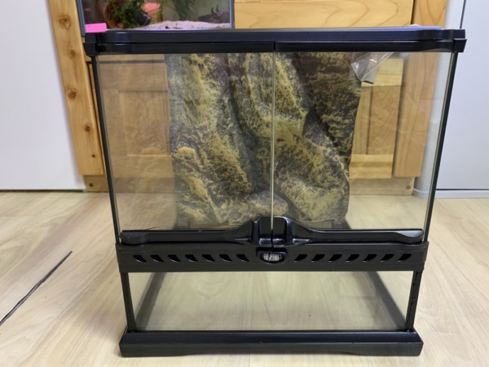 グラステラリウム3030レビュー！定番多機能の生体ケージ！ – アクア