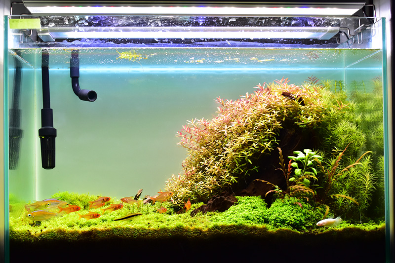 明るく綺麗なバックスクリーン「esAqua ライトスクリーン」レビュー