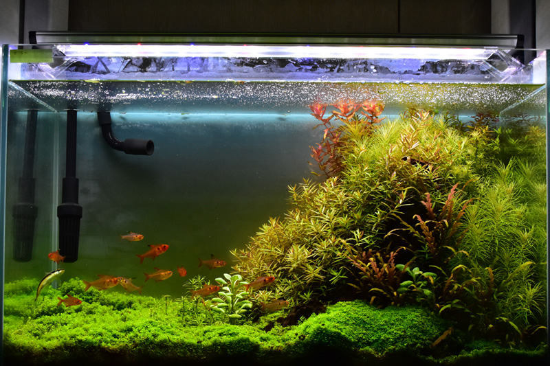 Aqullo LEDトライアングル グロウライト 60cm RGB 付属品一式