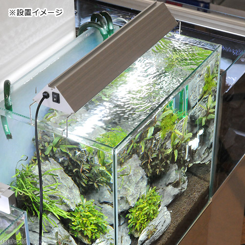 水草用ライトの決定版。アクロLEDライトの違いを知る徹底比較