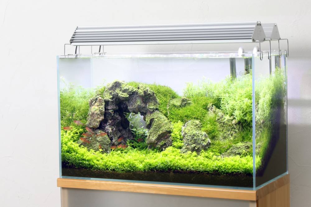 Aqullo トライアングル Vivid 120水槽用 アクロ TRIANGLE LED VIVID