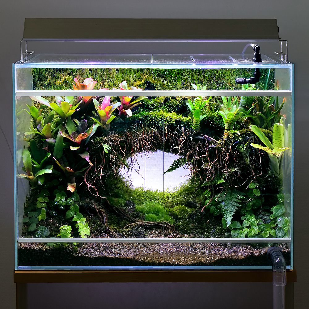 sale 高級水槽ADA 60cm セットおまけたくさん。