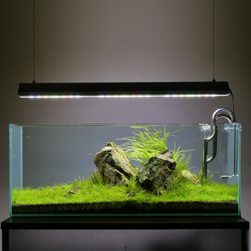 決まりました】60cmワイド水槽セット