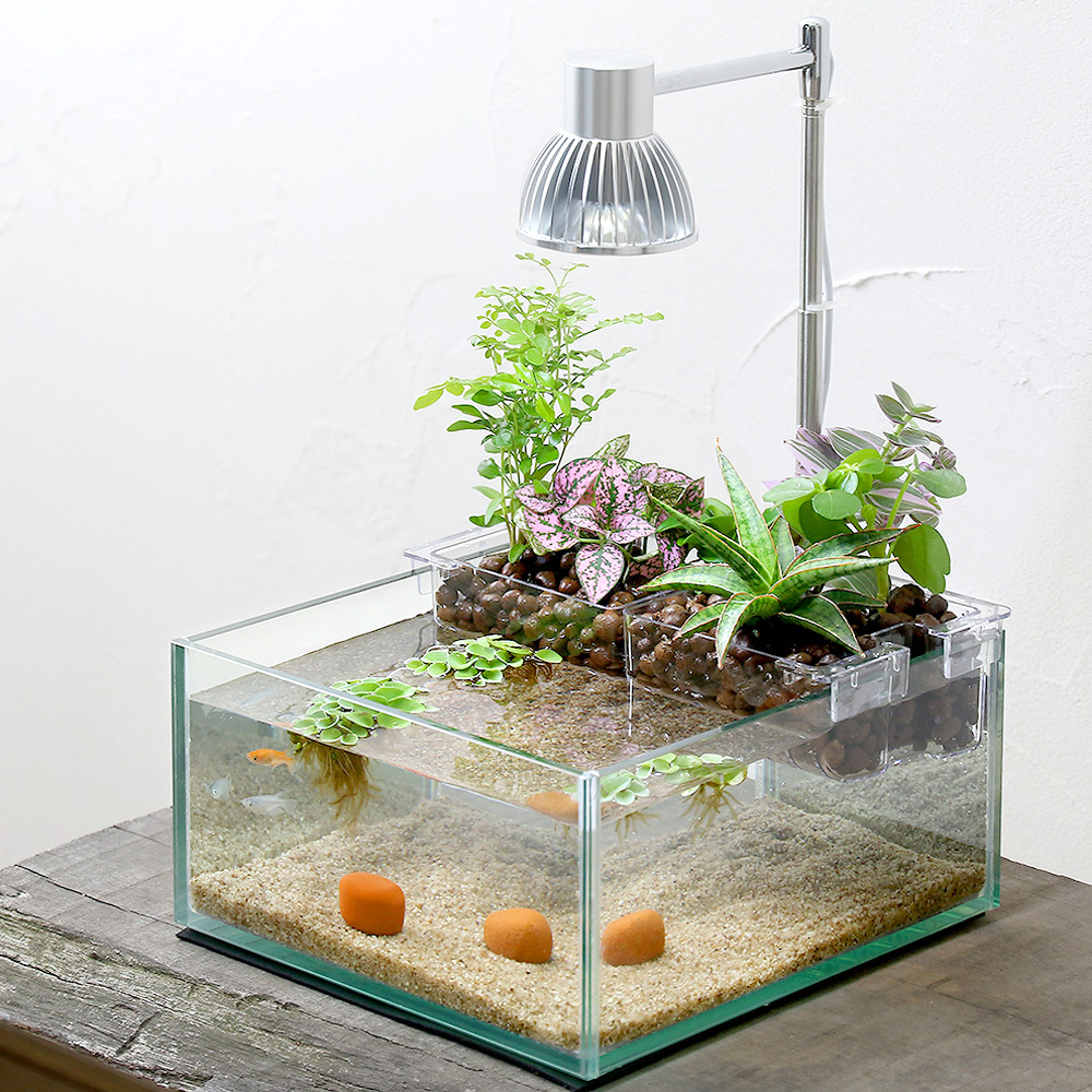 すぐ始められる！！上部濾過式アクアポニックス水槽アクアリウム水槽