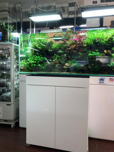 オリジナル 特注キャビネット製作 60cmタイプ | アクアレビュー｜ADA