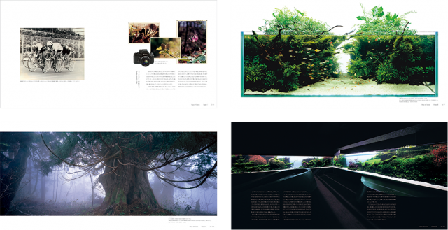 天野尚 作品集 NATURE AQUARIUM WORLD 水 自然への回帰 Amazon.co.jp