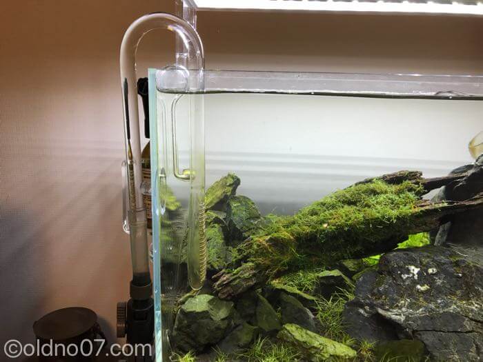 ADAリリィパイプを入れた Re:97 – マサオカアクア