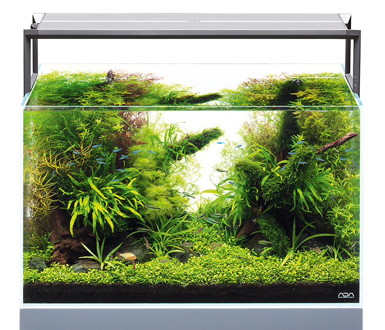 ADA - AQUASKY RGB II - 60 | Aquasabi - Aquascaping Shop