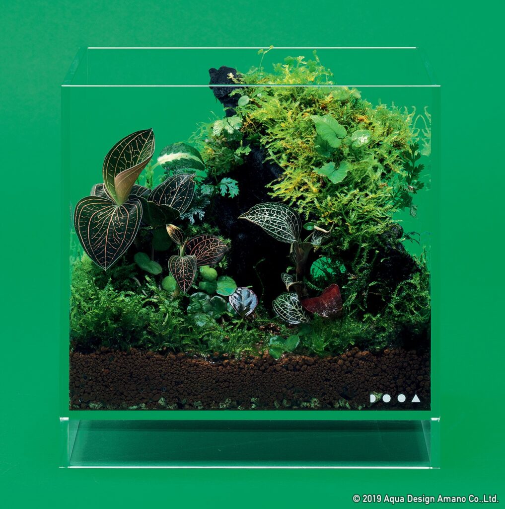 DOOA ネオグラスエア200 200 350 ガラス水槽 ADA W200xD200xH200.jpg