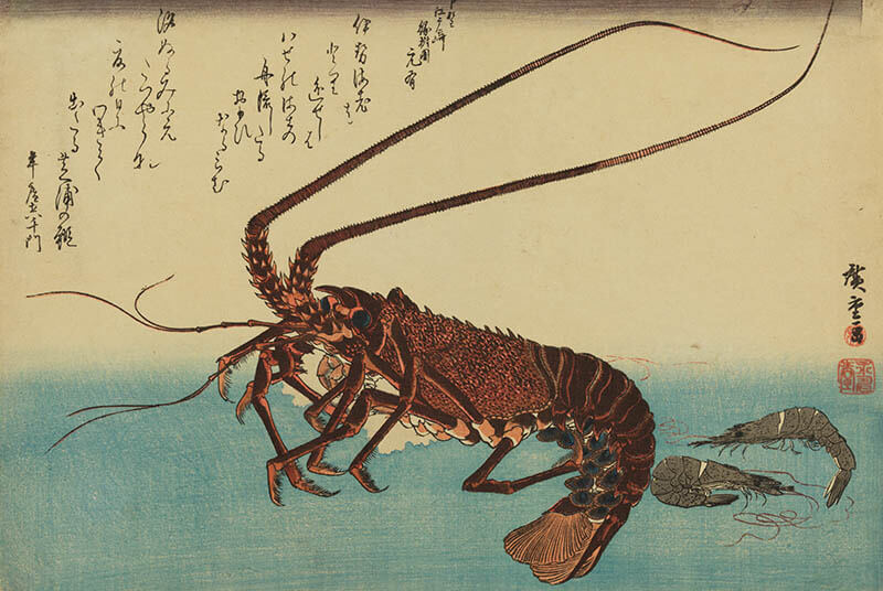 アート魚ッチング ―描かれた水の仲間たち― | 海の見える杜美術館