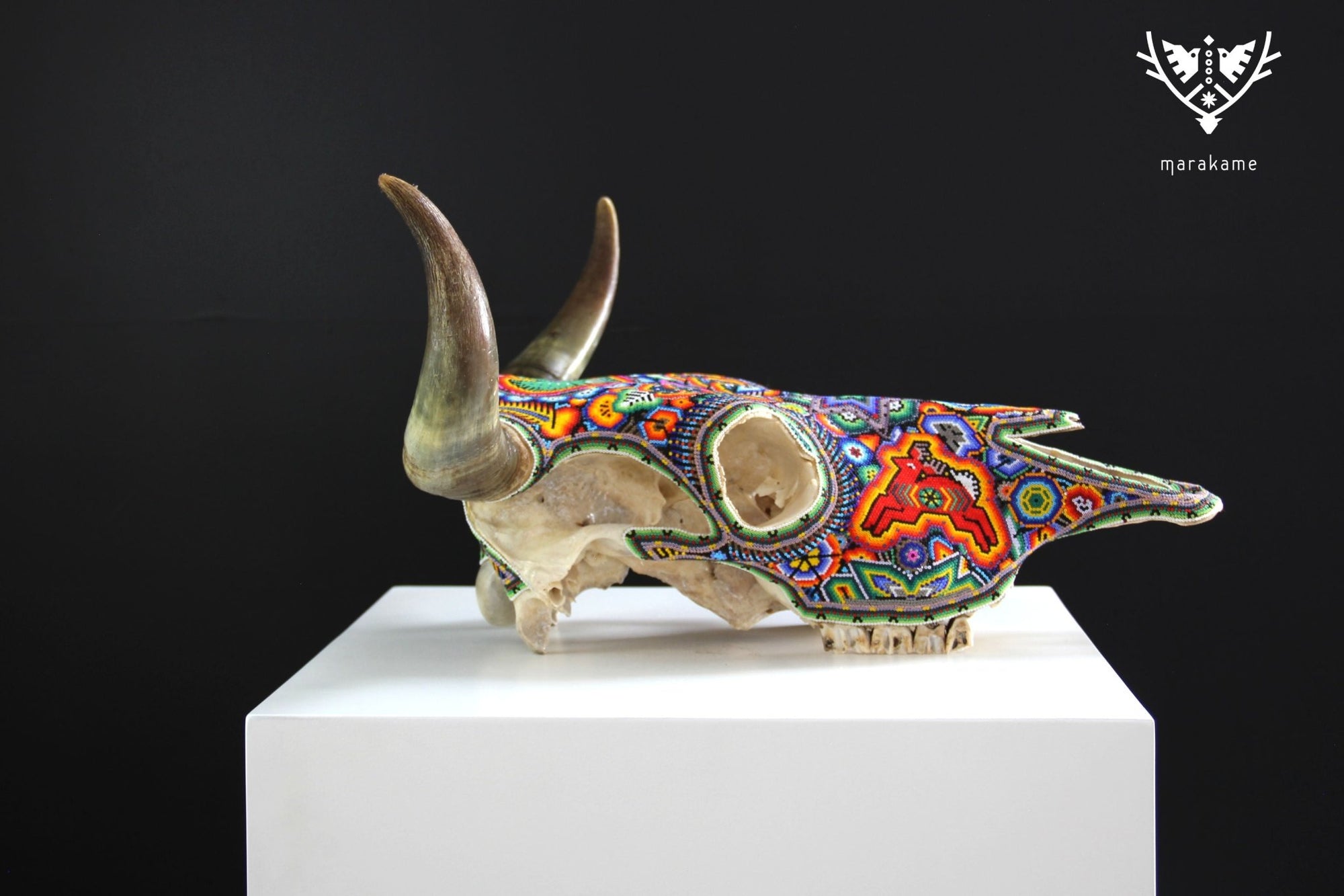 牛の頭蓋骨ウイチョル族の芸術 - Xurawe wexik+a - Marakame Art