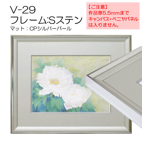 V-29 フレーム:Sステン(CP:シルバーパール)(アクリル) | マルニ額縁画材店