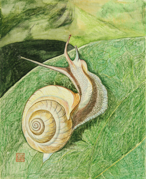 木版画 TOYOSHIMA かたつむり 木版画 TOYOSHIMA かたつむり NAKASHIMA