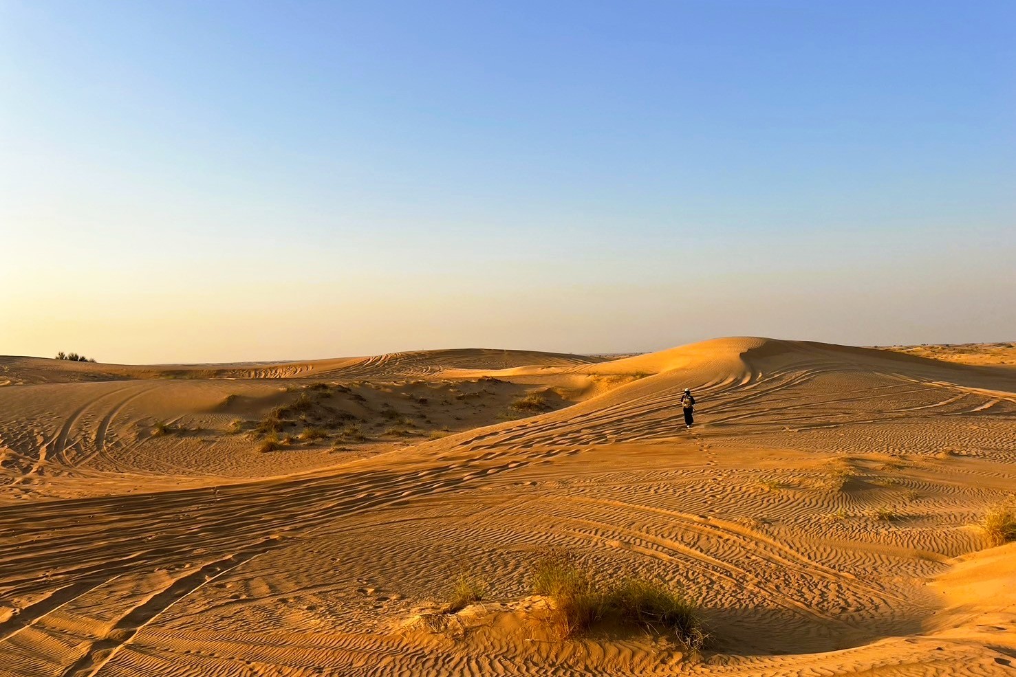 ドバイ旅行で人気の砂漠ツアー！砂丘ドライブやラクダを大満喫の