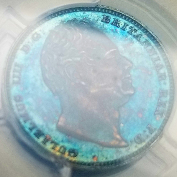イギリス ウィリアム4世 1831年 6ペンス 銀貨 PCGS PR64 | ARK NUMISMATICS
