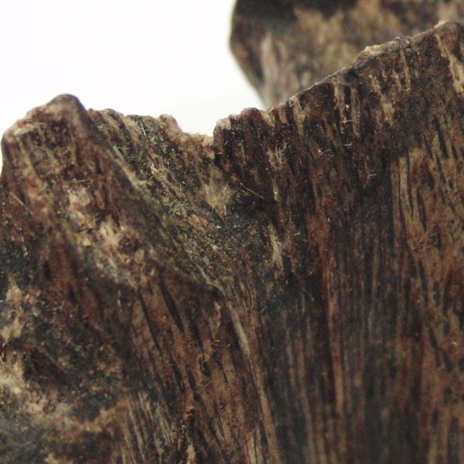 香道用香木（キャラ）