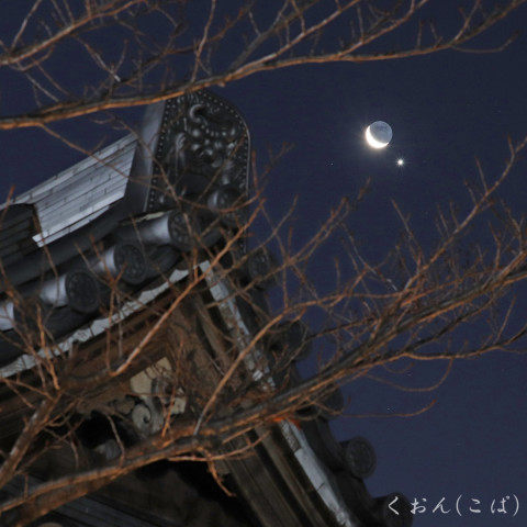 特集 2019年1月2日 細い月と金星の大接近 - 天体写真ギャラリー