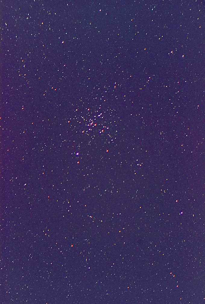 91840: 夜空は宝石箱(おおいぬ座 M41) by サザンクロス - 天体写真