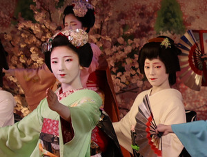 地元は京の花街、舞妓デビュー 他府県出身9割超の中で [京都府]：朝日新聞