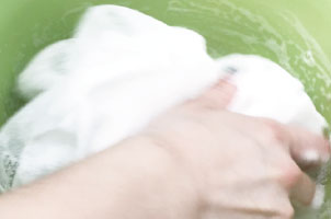 シルクの泡パック - AsoboLabo カタログサイト（ペット事業の