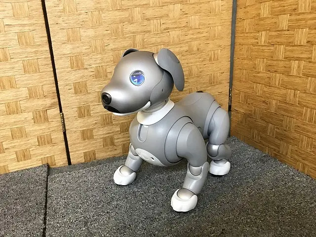 黒ゴマ ソニー アイボ ERS-1000 アイボーン AIBO SONY レア 黒ゴマ