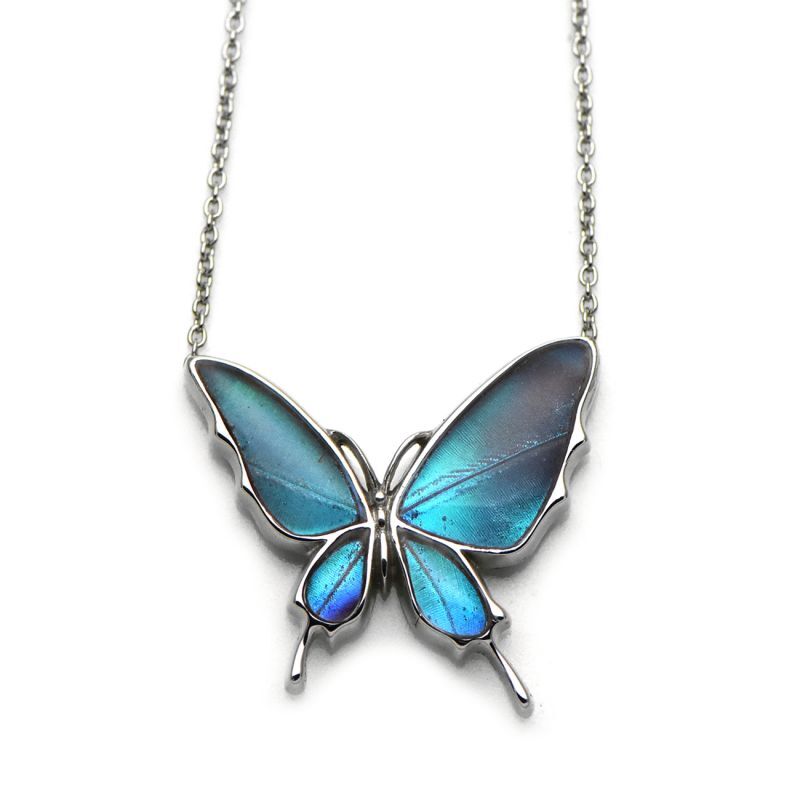 ゼフィリティスモルフォ 蝶の翅 両吊り シルバー925 ペンダント