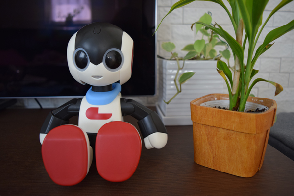 ロビジュニア Robi おしゃべりロボット タカラトミー 自分だけの
