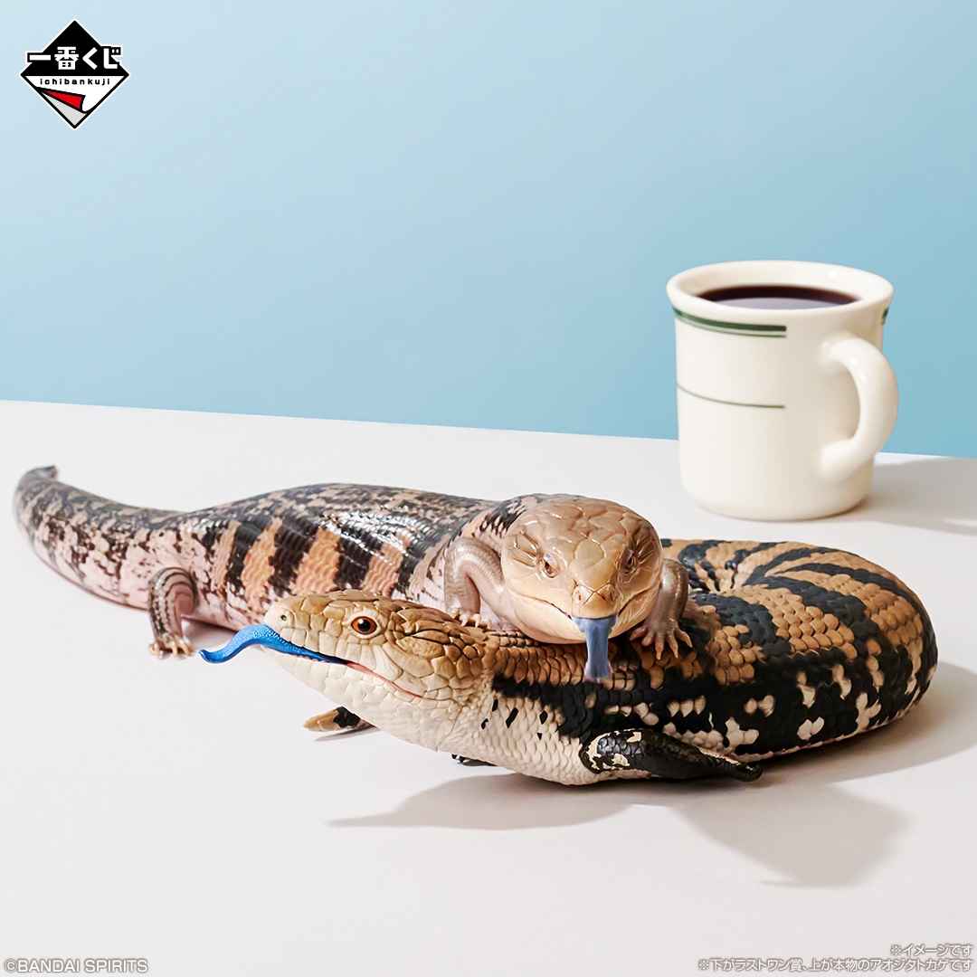 爬虫類＆両生類」だけの一番くじ 第2弾が7月25日より登場！ | NEWSCAST