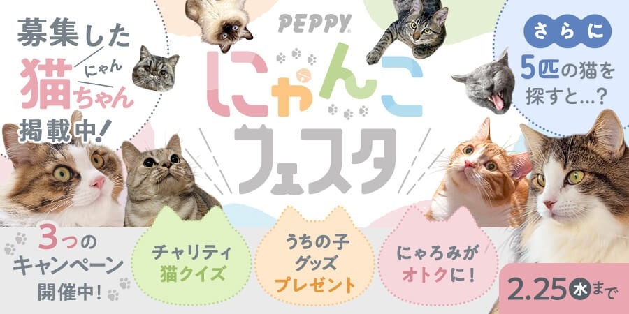 2/25まで】2月のペピイは猫まみれ！？「PEPPYにゃんこフェスタ」を開催
